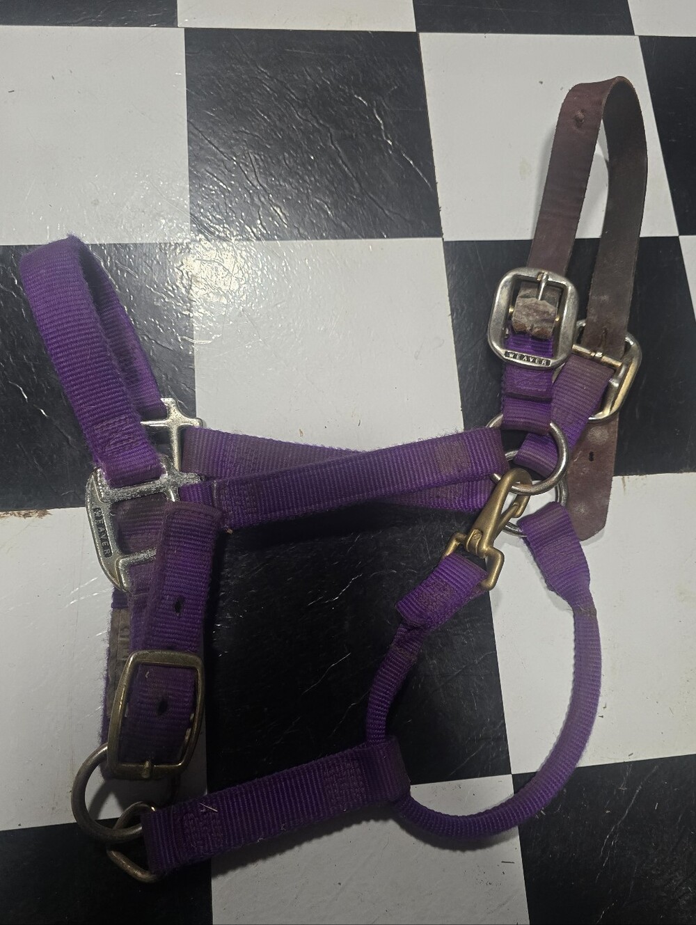 Purple Nylon Horse Halter with Leather Crown - Weaver